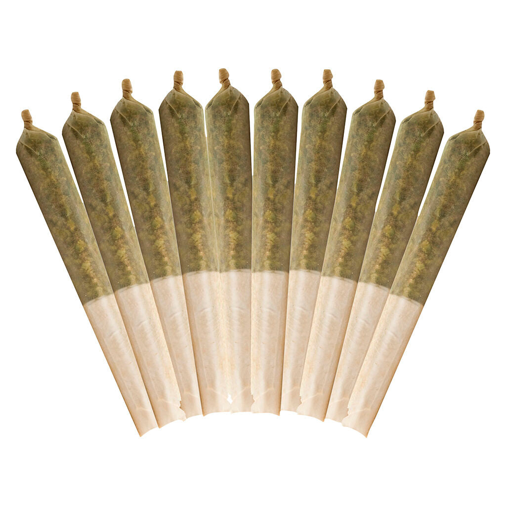 Ethos Glue Pre-Roll (10x0.5)