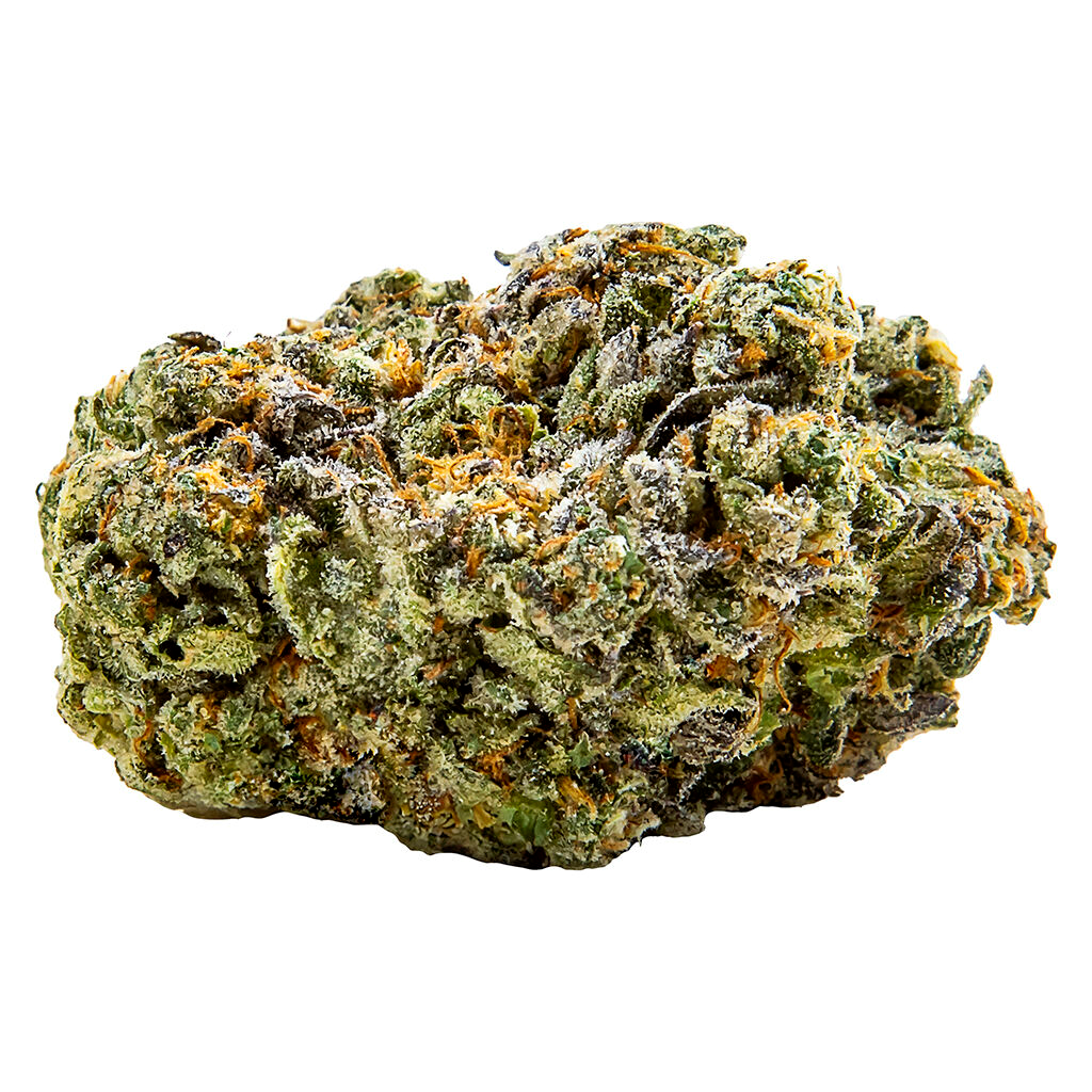 Jack Herer Jamboree Budskis - 3.5g