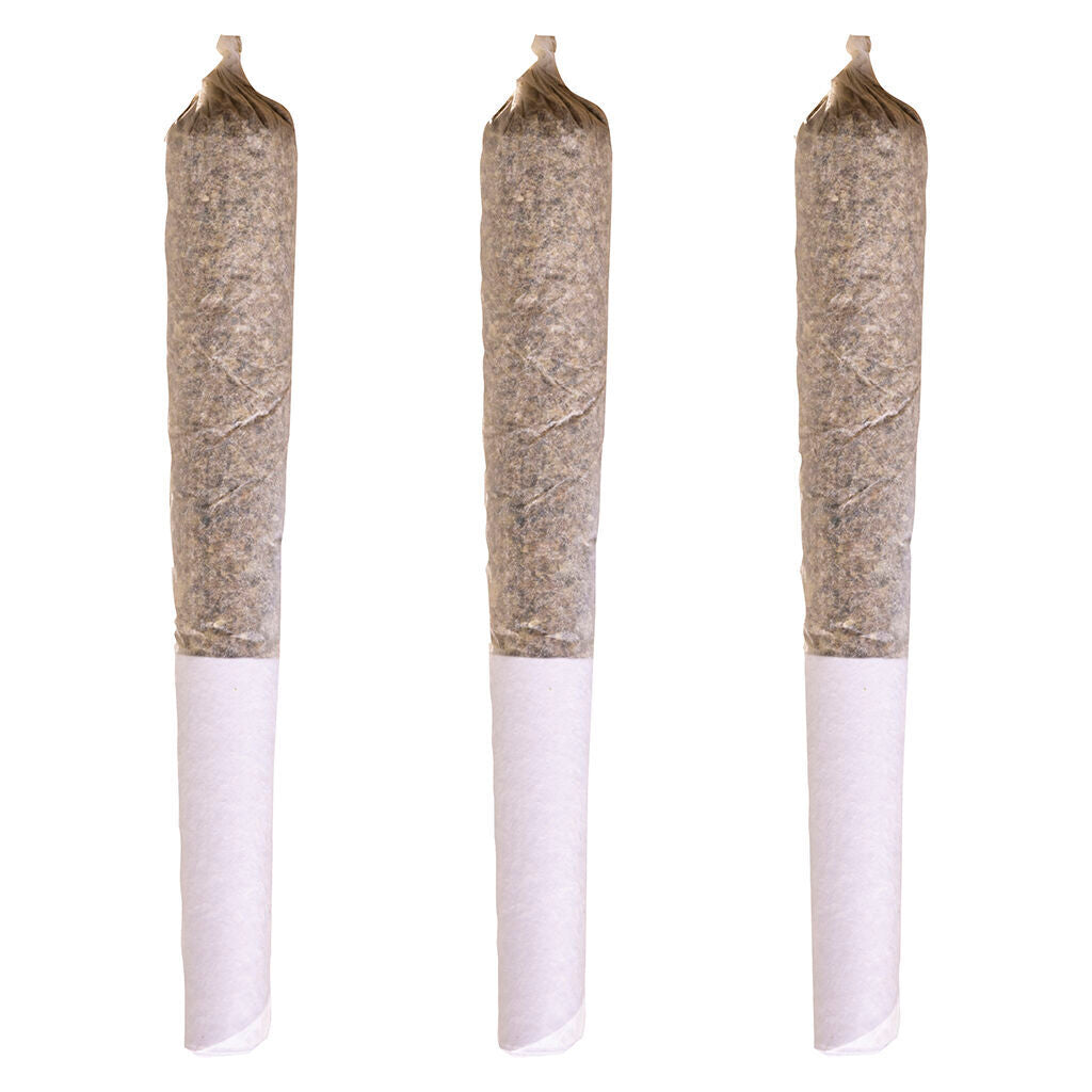 Maple Pancakes Pre-roll - 1x0.5g
