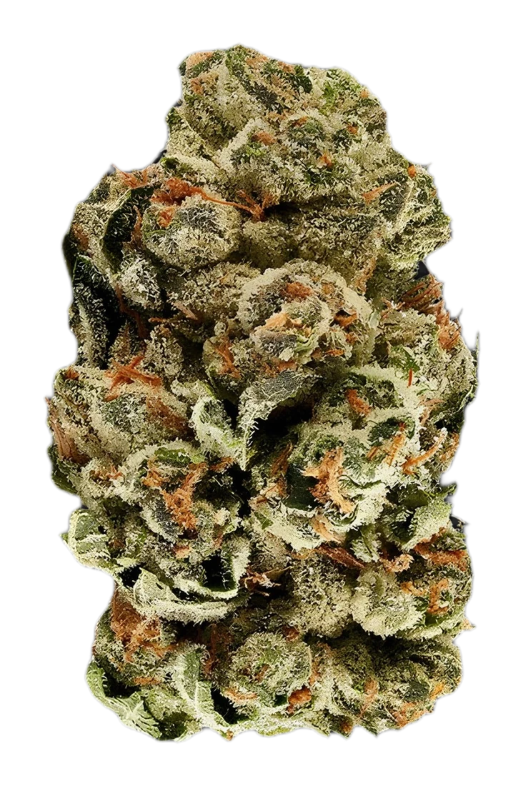 Indica cannabis flower