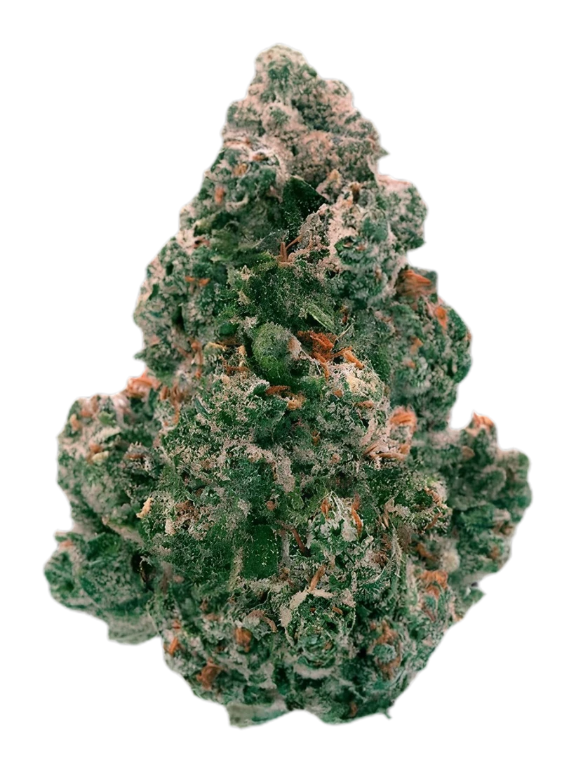 Premium cannabis flower bud