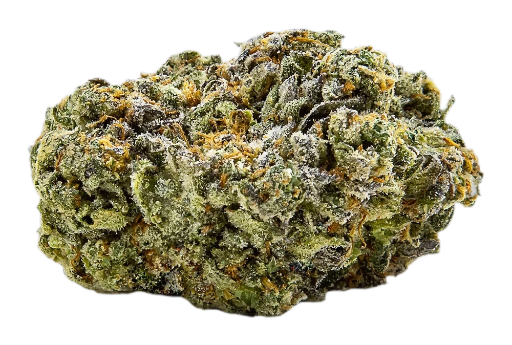 Chillbilly Jack Herer Jamboree Budskis