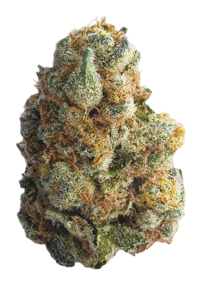 Hybrid cannabis flower